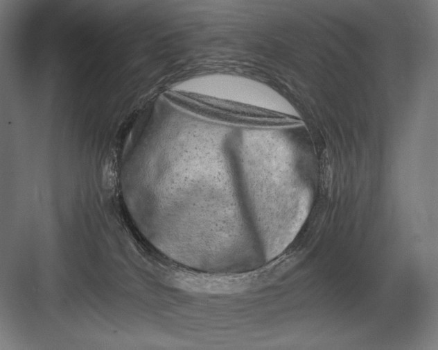 X0000082200040200702100012