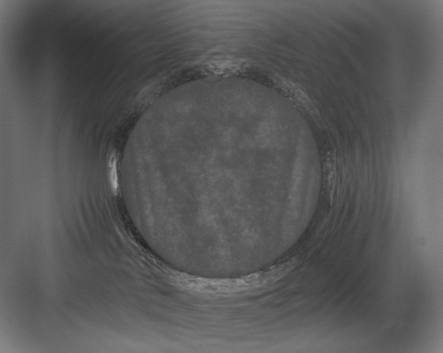 X0000082200042200702100012