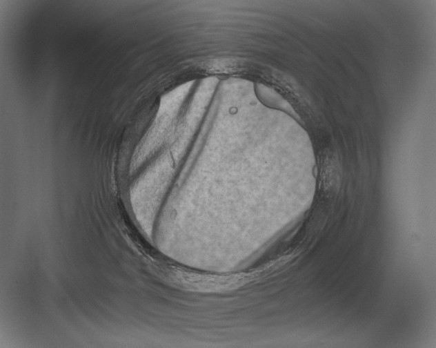 X0000082200044200702100012