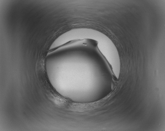 X0000082200045200702100012