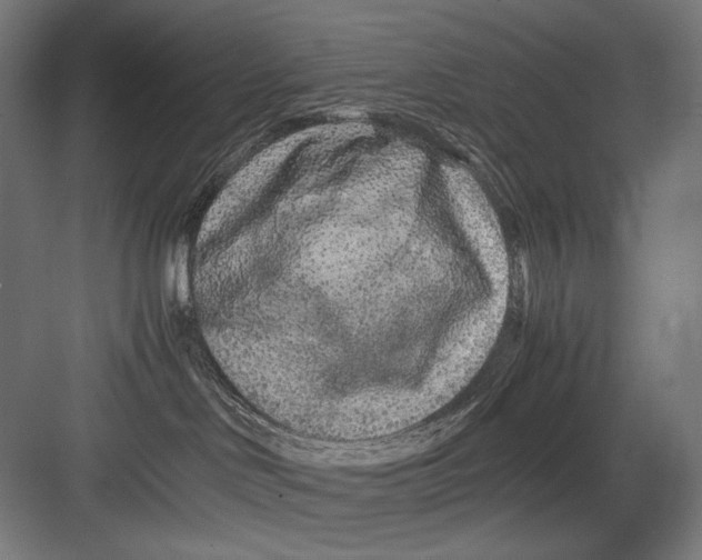 X0000082200046200702100012