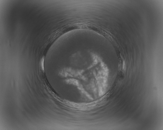 X0000082200047200702100012