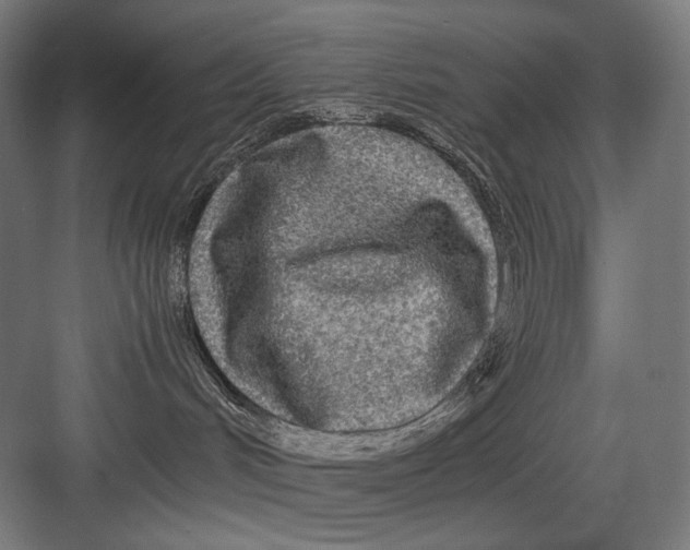 X0000082200048200702100012