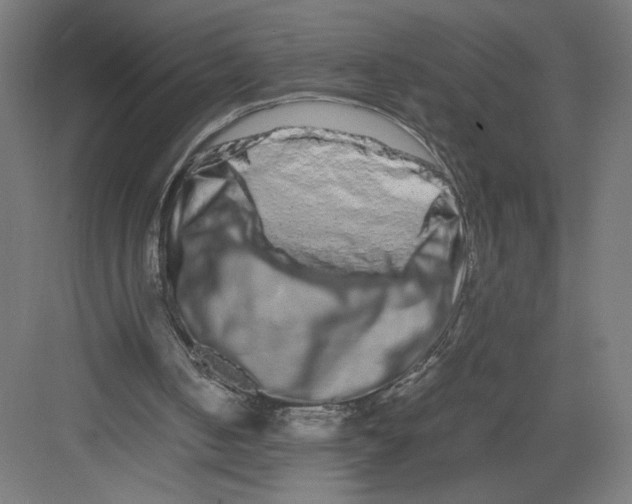 X0000082200050200702100011