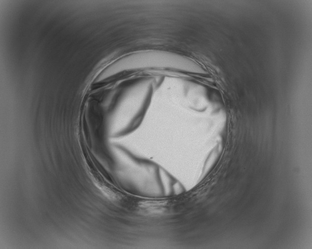 X0000082200051200702100011