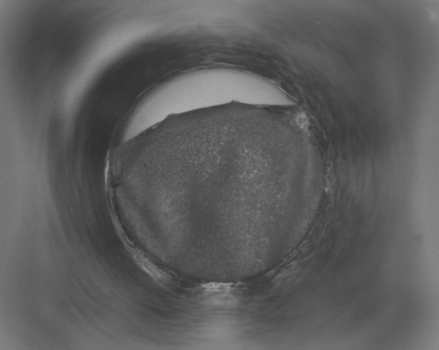 X0000082200052200702100012