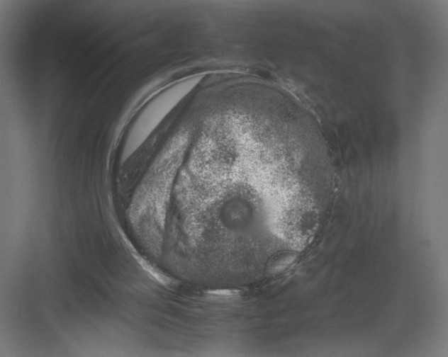 X0000082200053200702100012