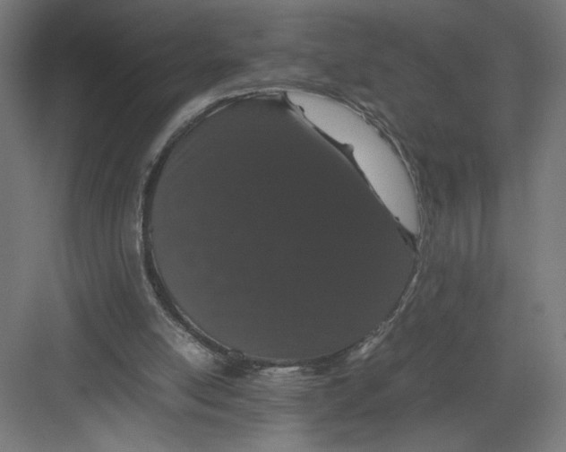 X0000082200054200702100012