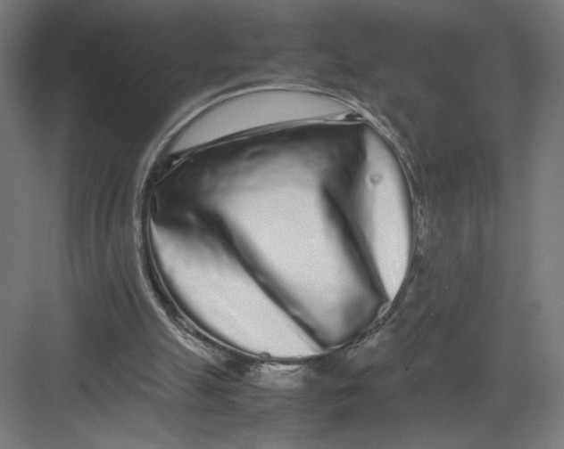 X0000082200055200702100012