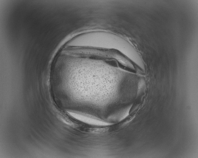 X0000082200056200702100012