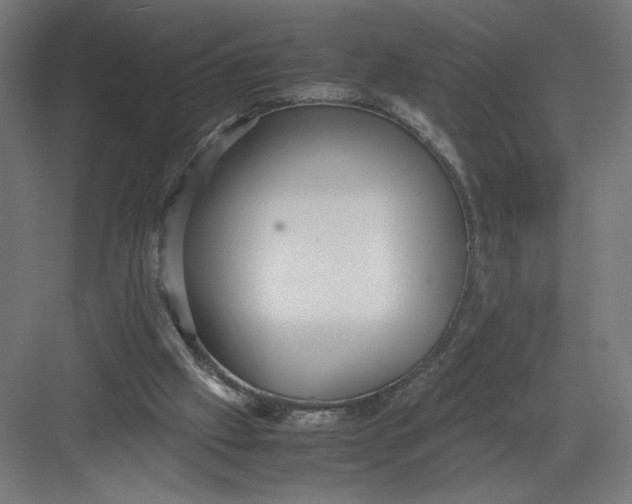 X0000082200057200702100012