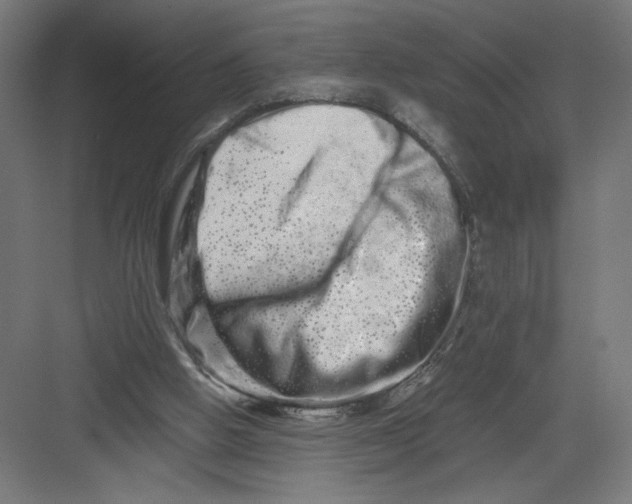 X0000082200058200702100012