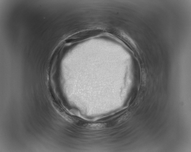 X0000082200059200702100012