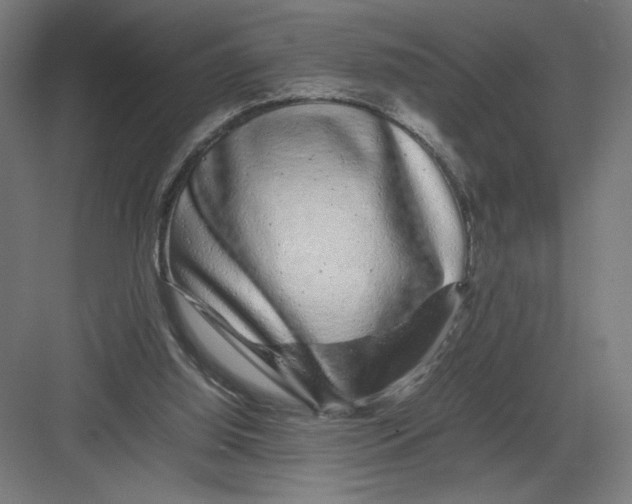 X0000082200060200702100012