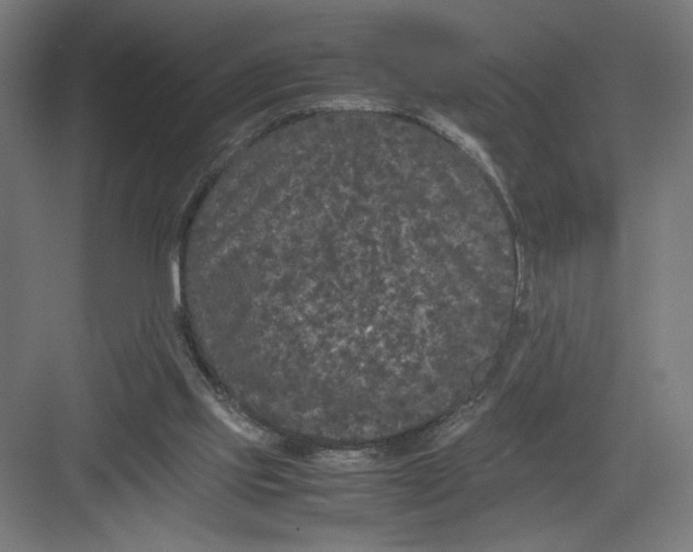 X0000082200061200702100012