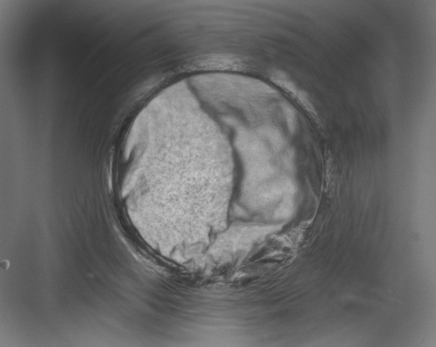 X0000082200062200702100012