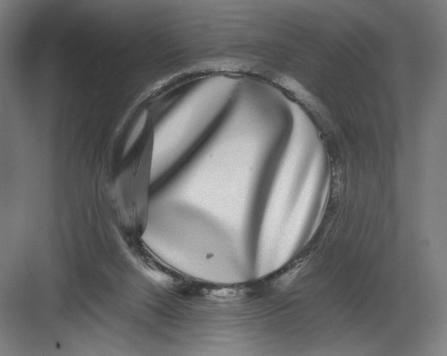 X0000082200064200702100012