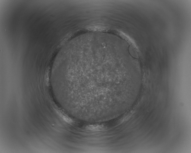 X0000082200065200702100012