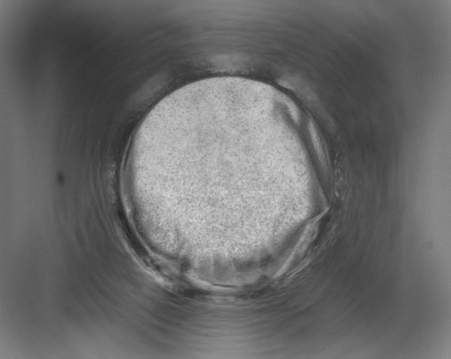 X0000082200066200702100012