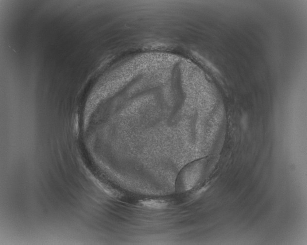 X0000082200067200702100012