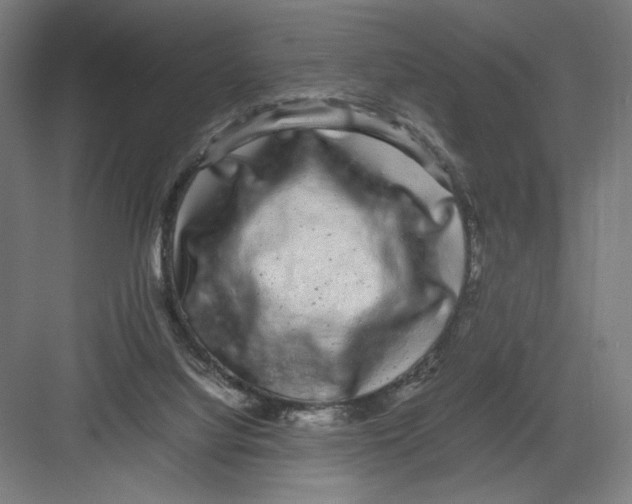 X0000082200068200702100012