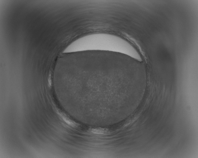 X0000082200069200702100012