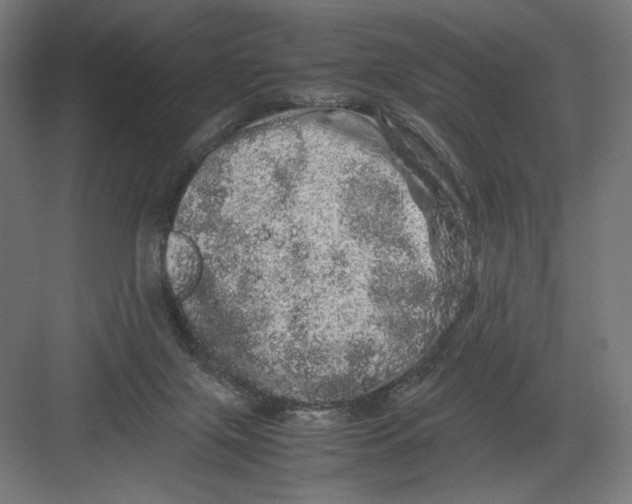 X0000082200071200702100012