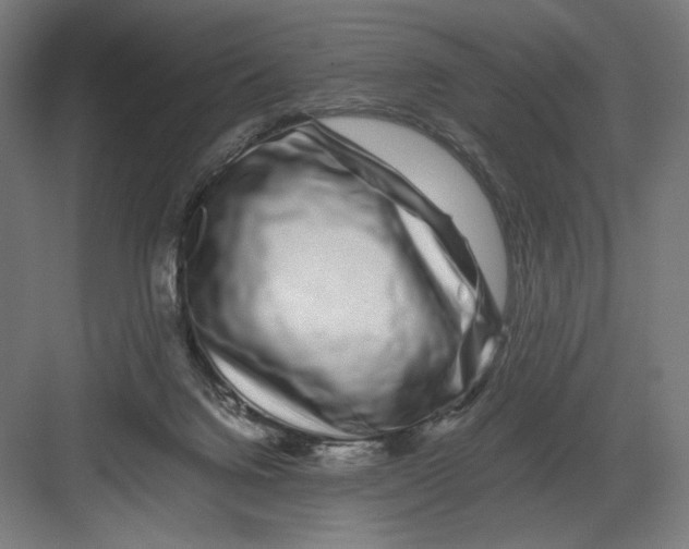 X0000082200072200702100012