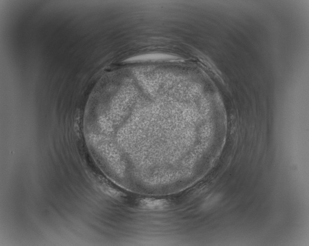 X0000082200073200702100012