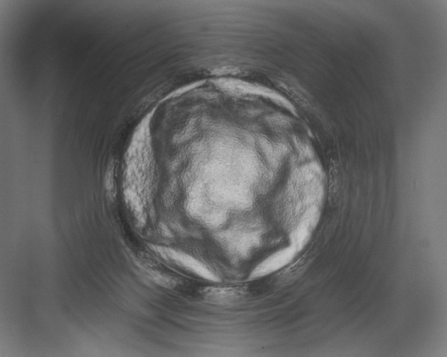 X0000082200074200702100012