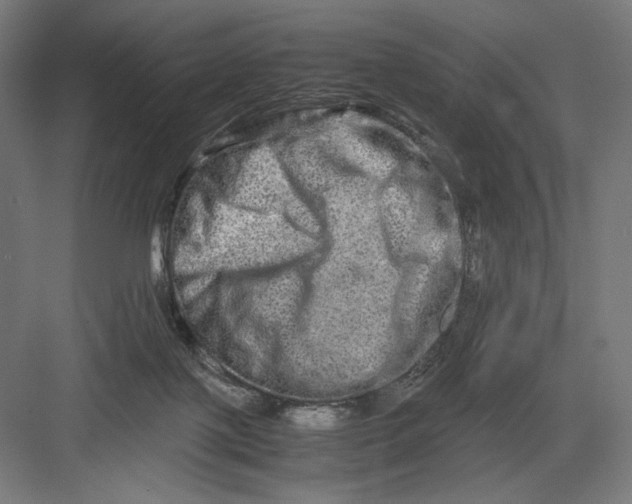 X0000082200075200702100012