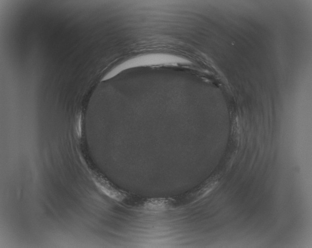 X0000082200076200702100012