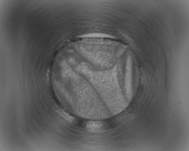 X0000082200077200702100012