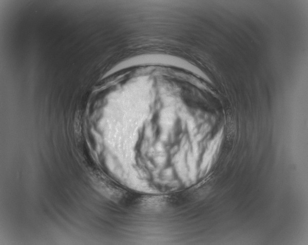 X0000082200078200702100012