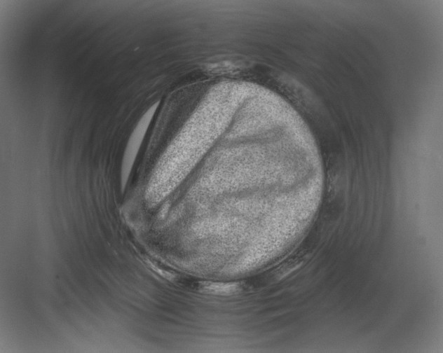 X0000082200081200702100012