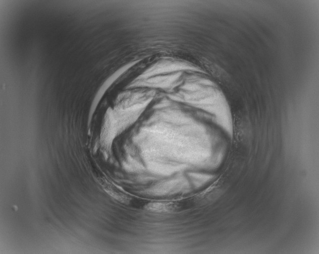 X0000082200082200702100012