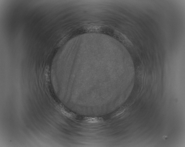 X0000082200083200702100012