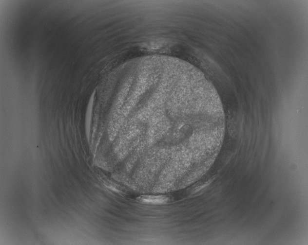 X0000082200085200702100012