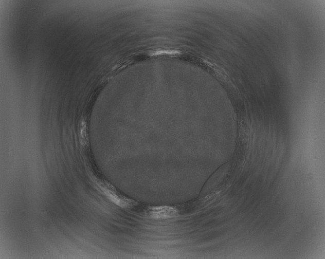 X0000082200087200702100012