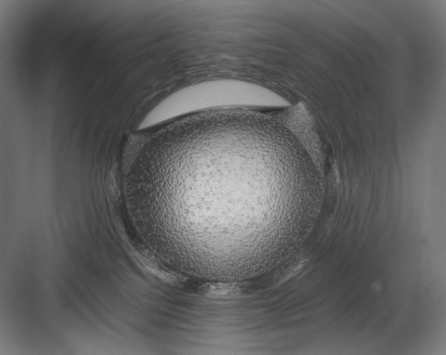 X0000082200088200702100012