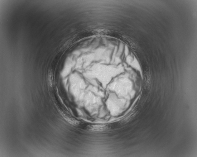 X0000082200090200702100012