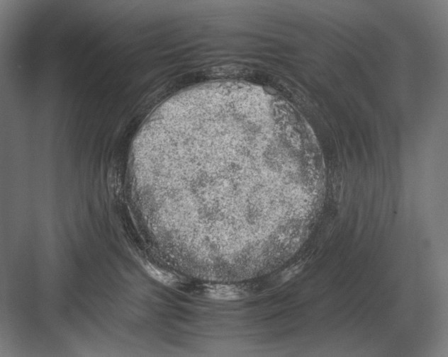 X0000082200091200702100012