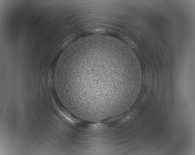 X0000082200092200702100012