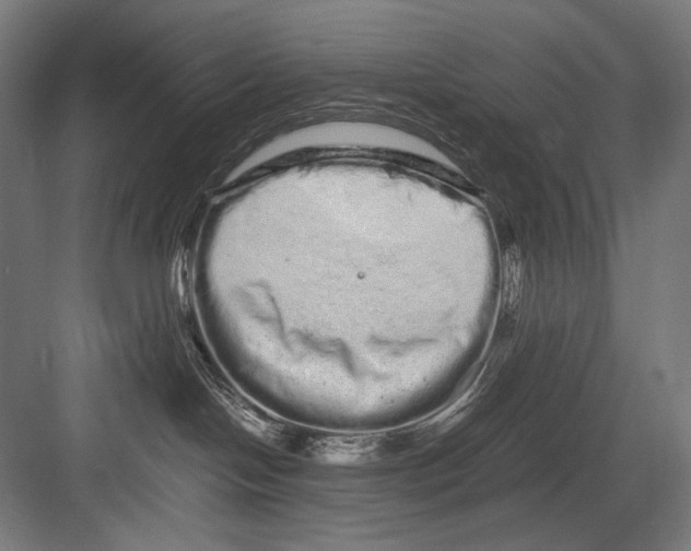 X0000082200094200702100012