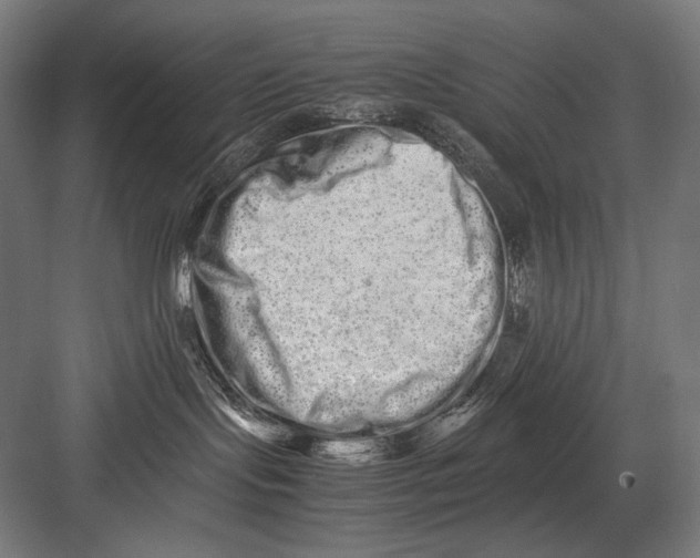 X0000082200095200702100012