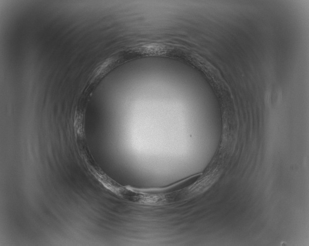 X0000082200096200702100012