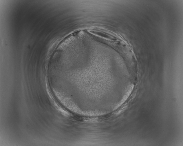 X0000082200097200702100011