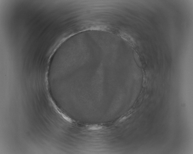 X0000082200098200702100011