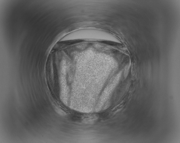 X0000082200099200702100011