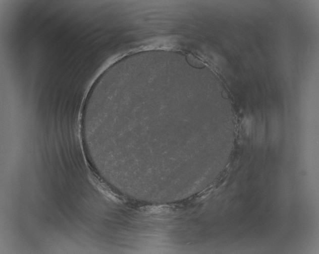 X0000082200100200702100011